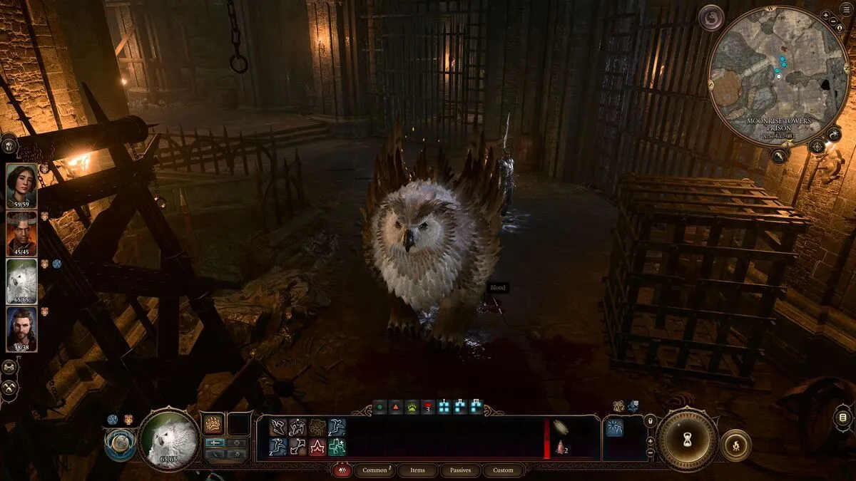 Baldurs Gate 3 Druid Guide Wild Shape Owlbear