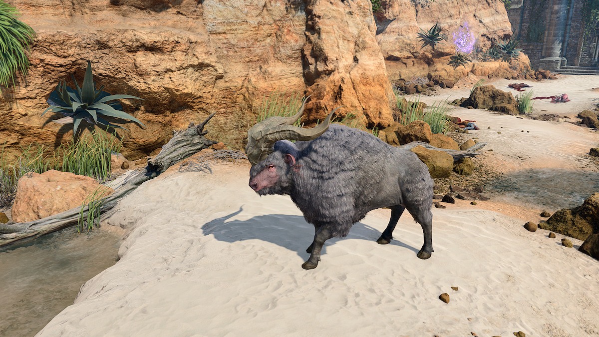 Baldur’s Gate 3 Druid guide Best Wild Shape animal transformations