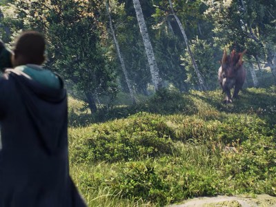 Hogwarts Legacy Transgender