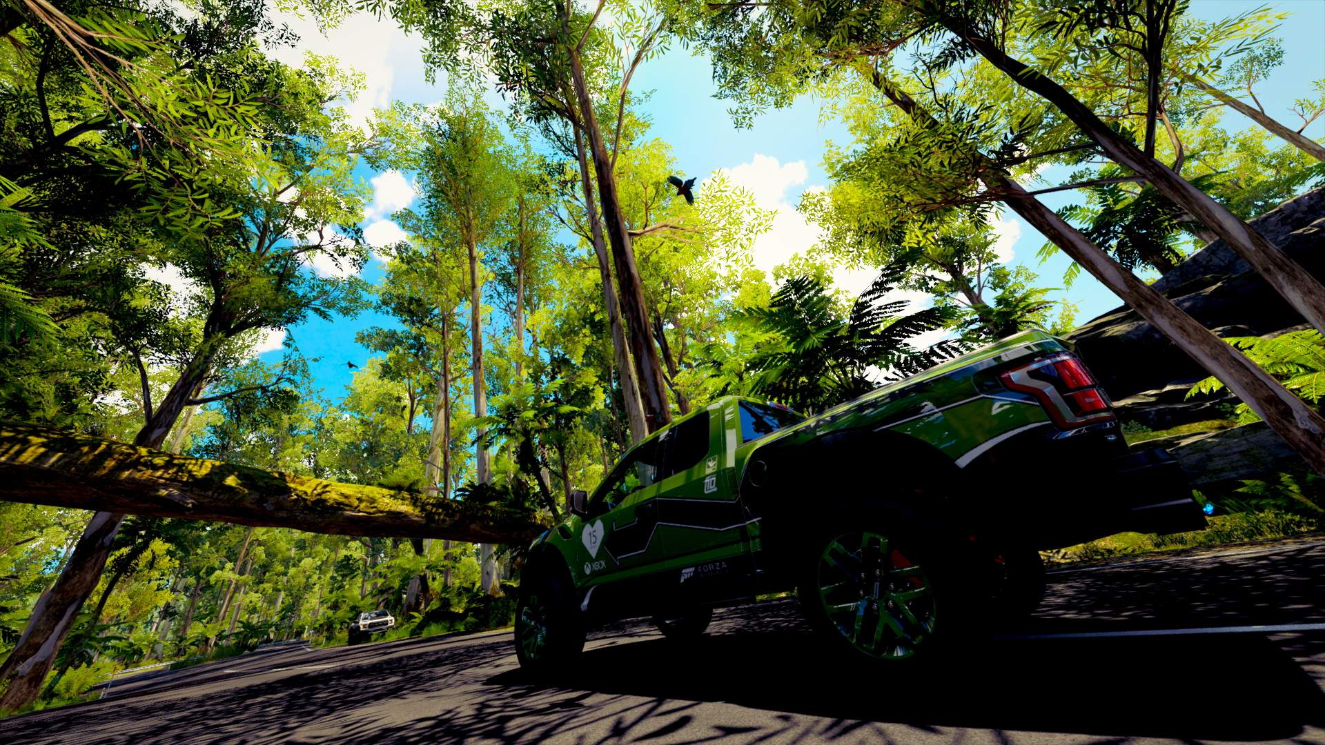 Forza Horizon pc optimization Puerto Rico Rainforests