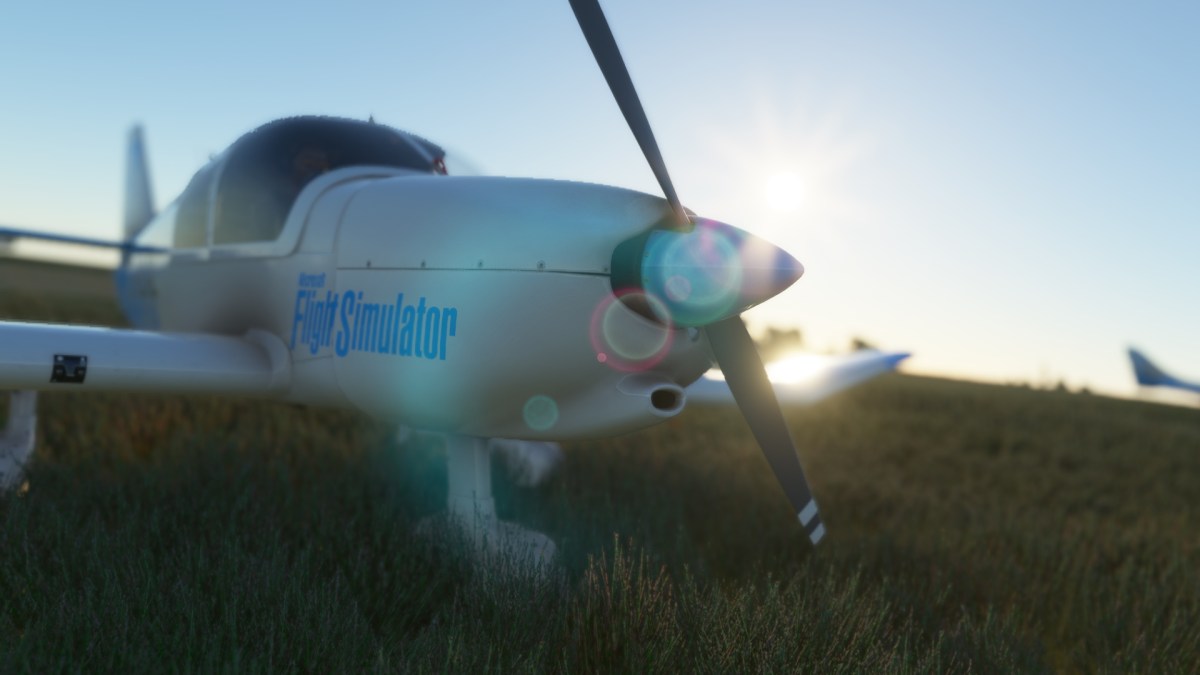 Microsoft Flight Simulator Robin In The Grass
