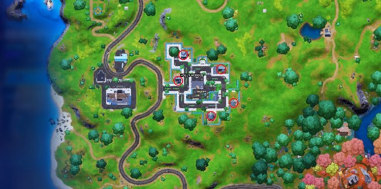 Fortnite Research Books Holly Hedges