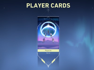 Valorant Duality Player Card