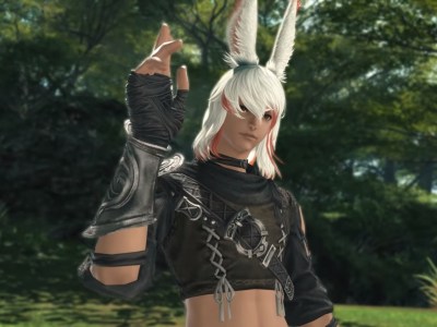 Ff14 Male Viera
