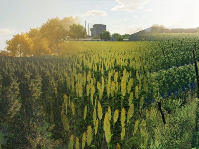 Farming Simulator 22 New Crops