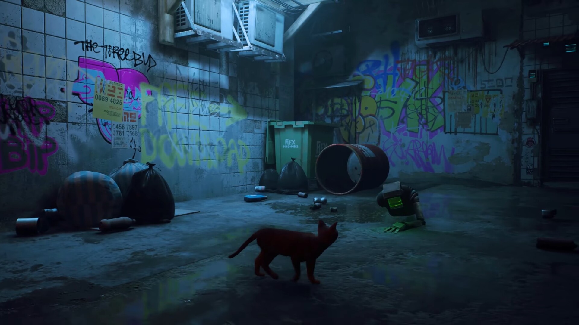 Stray Cat Game Release Date and New Gameplay Trailer