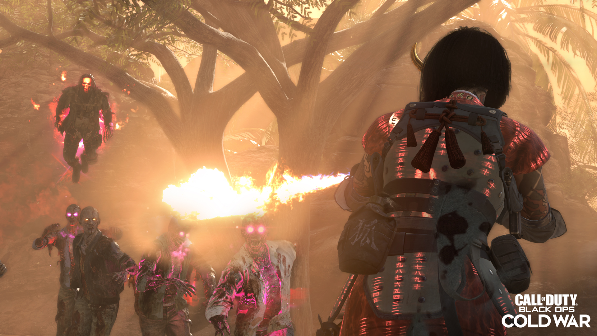 Black Ops Cold War Zombies Patch