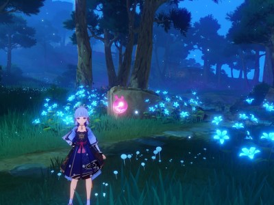 Genshin Impact Lost Riches Guide Special Treasure Map Location Puzzle Iron Coins Treasure Seeking Seelie Nazuchi Beach Chinju Forest Mini Seelie