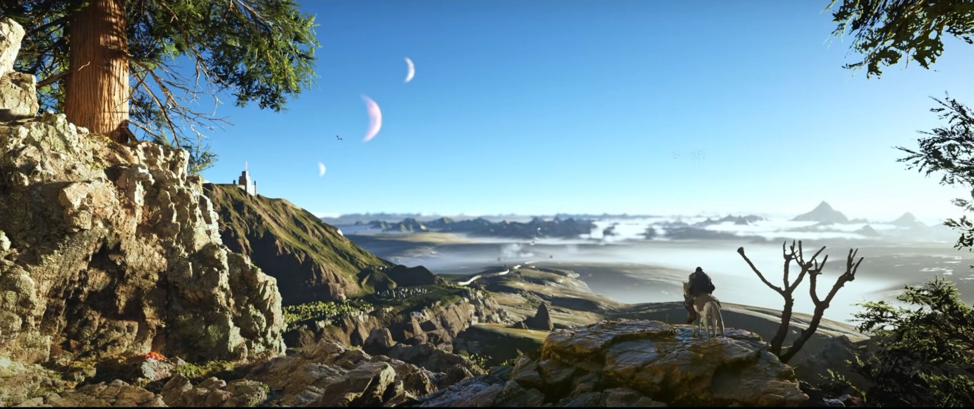 Wayward Realms Revealed