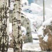 Intel Xess Demo Dlss Competitor Gpu Graphics Cards