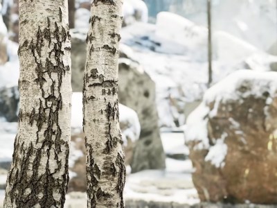 Intel Xess Demo Dlss Competitor Gpu Graphics Cards