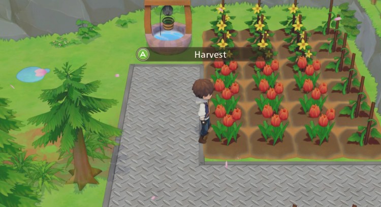 Pioneers Of Olive Town Review Harvest Time