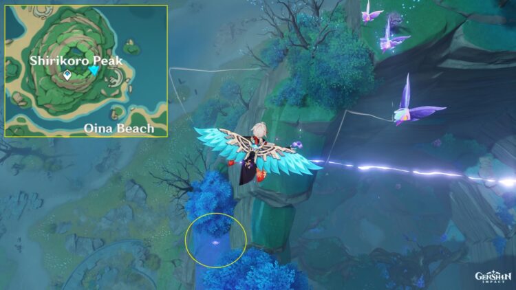 Genshin Impact Star Shaped Gem Electro Seelie Locations Guide 1b