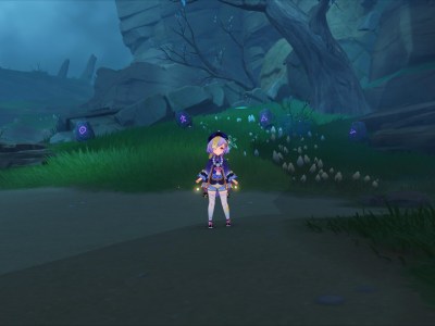 Genshin Impact Wakukau Shoal Mystery Of The Stones Puzzle