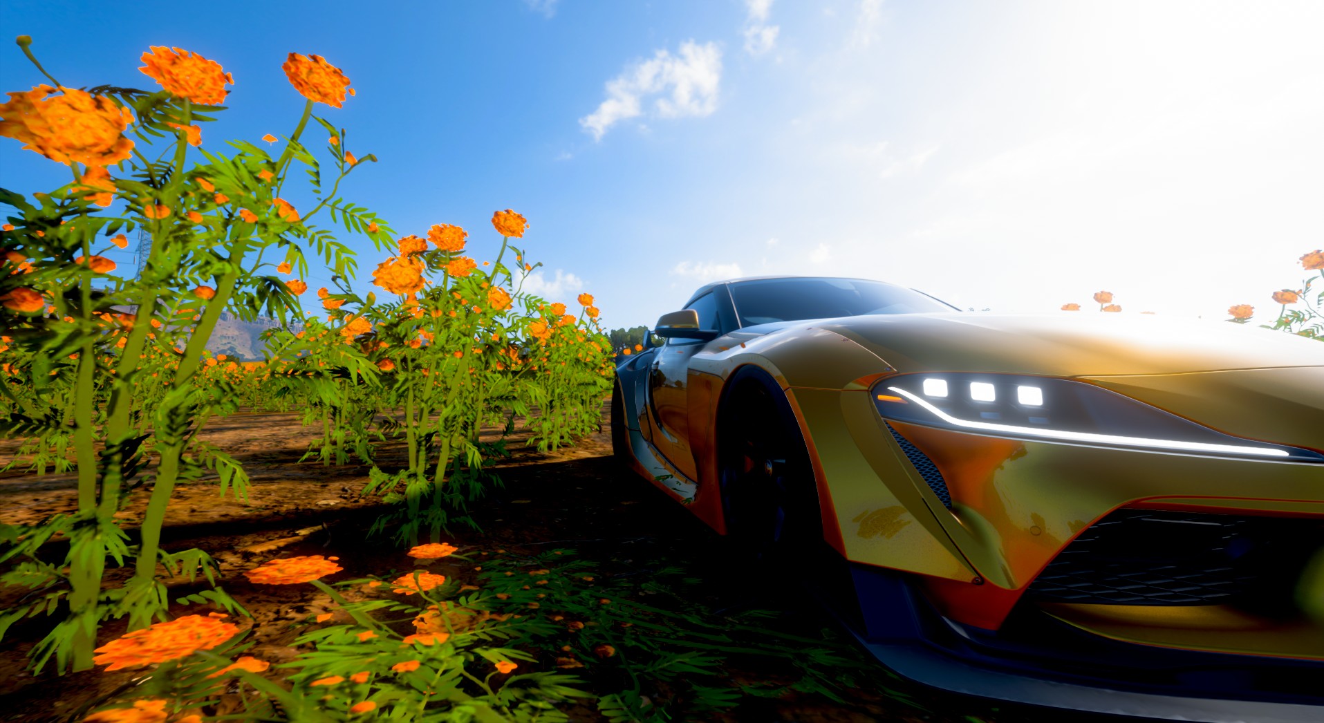 Forza Horizon 5 piezas Toyota Supra en el campo de flores