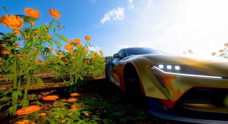 Forza Horizon 5 ПК Toyota Supra в цветочном поле