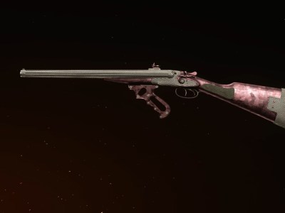 Vanguard Double Barrel Class