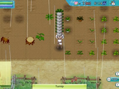 Rune Factory 4 Special Review 1