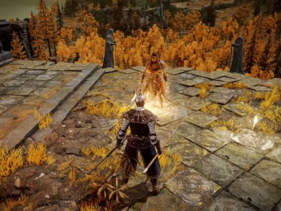 Elden Ring Multiplayer Servers Maintenance Feat