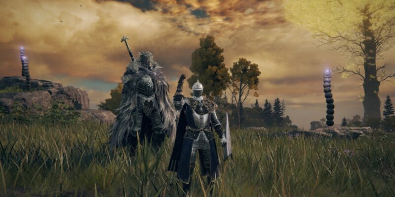 Elden Ring: Mistwood Ruins, Blaidd, and Forlorn Hound ...