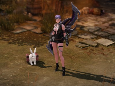 Lost Ark How To Get A Free Pet