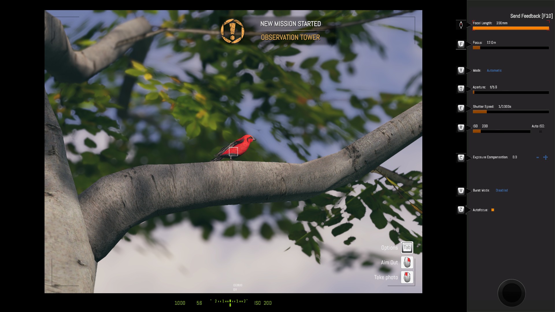 Birding Simulator Shutter