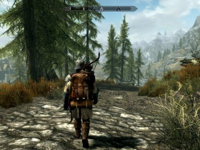Bethesda Launcher shut down Skyrim