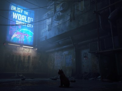 Stray Summer 2022 Release Delay