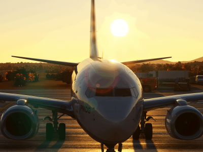 Microsoft Flight Simulator Pc Pmdg 737 Sunrise Rollout (copy)