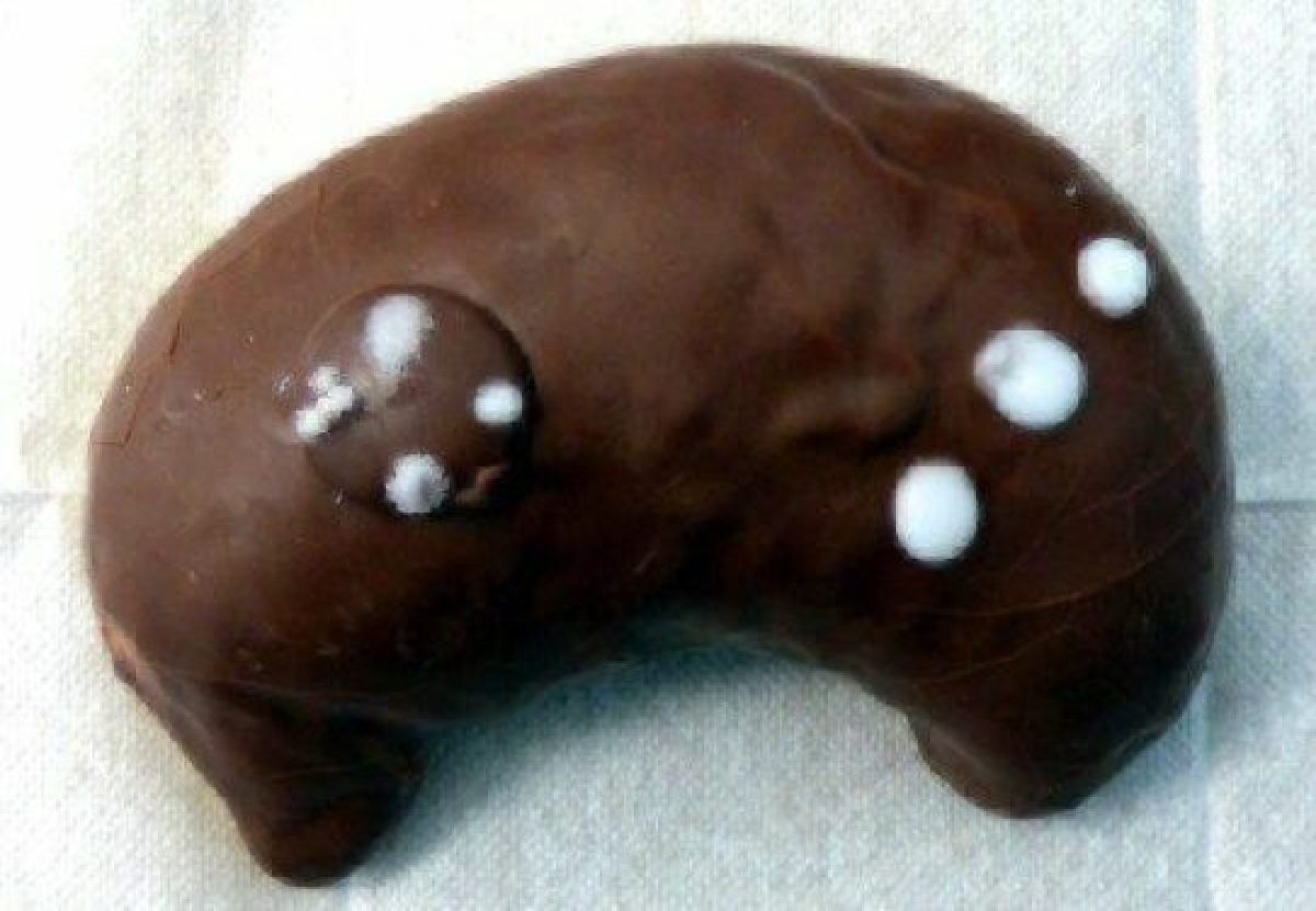 Sega stream project chocolate controller