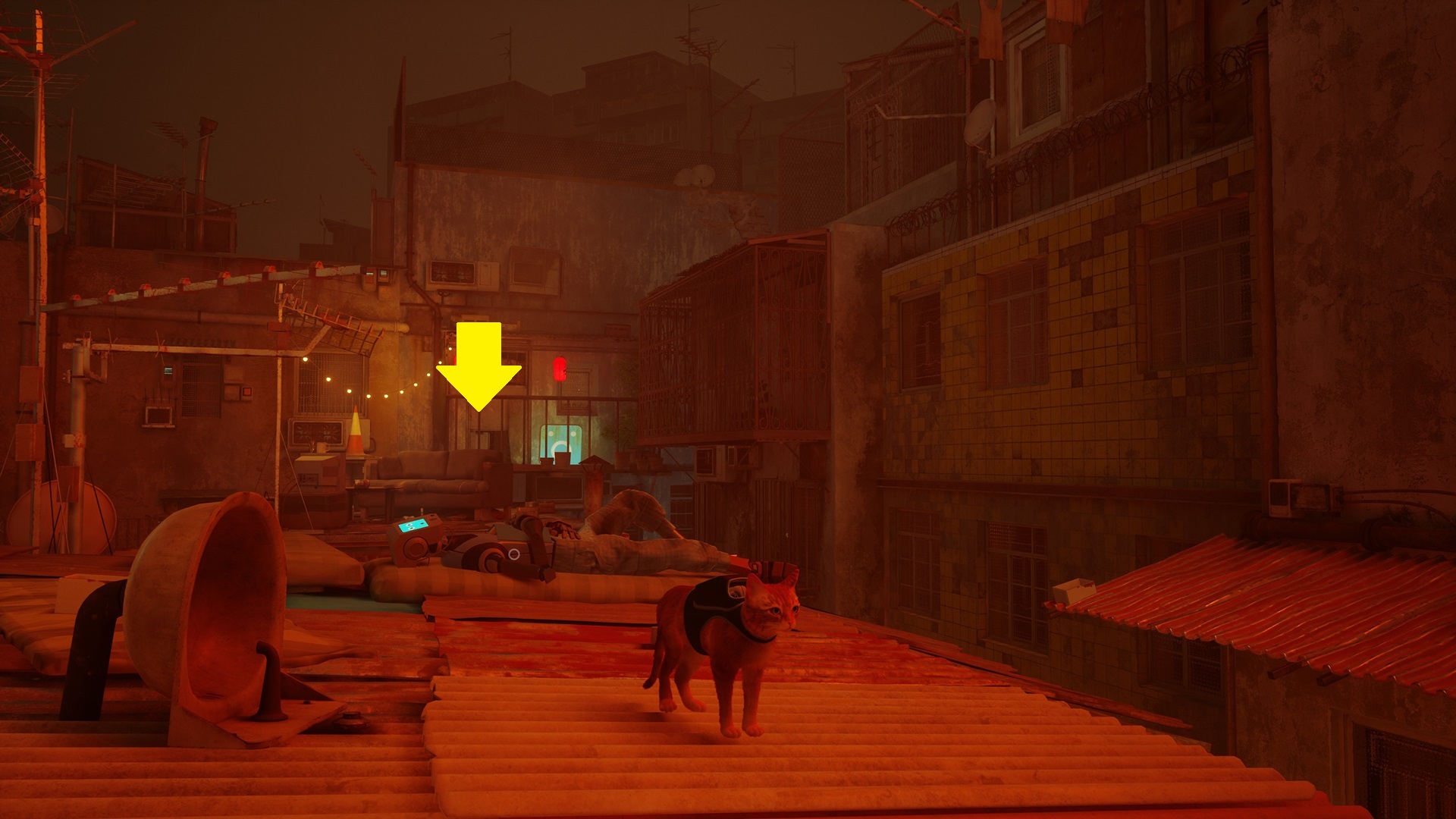 Stray Where to find Outsider Notebooks for Momo (The Slums)