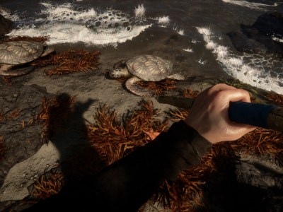 Sons Of The Forest Release Date February Price