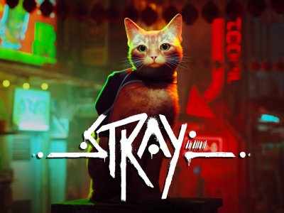 Stray Guides And Features Hub Featured Image
