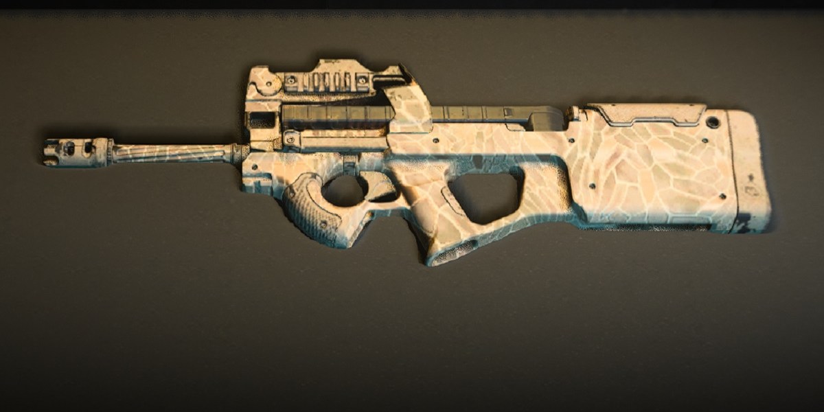 How To Build The Best Modern Warfare 2 PDSW 528 Class