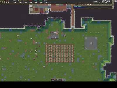 Dwarf Fortress Steam Release Field