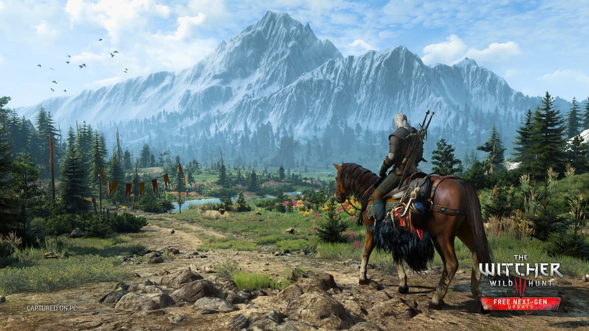How to display fps counter in The Witcher 3 Horse Open Fields