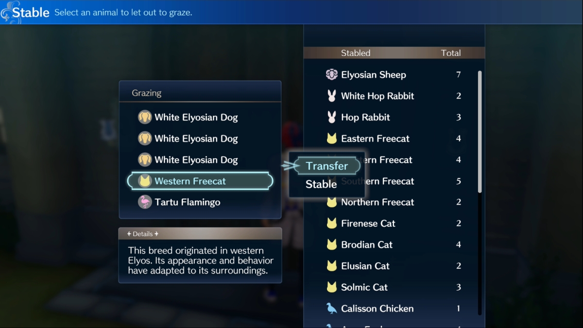 Fire Emblem Engage Transfer Pets Stables