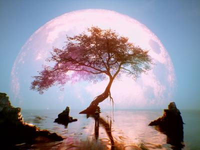Ghostwire Tokyo Developer Tango Gameworks next game Tree Water Moon