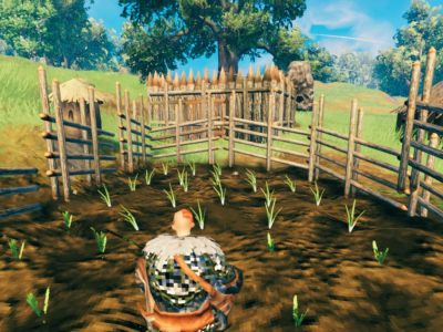 How to Plant seeds and farm in Valheim onions
