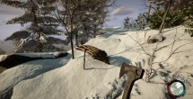 Sons Of The Forest Animal Traps Guide