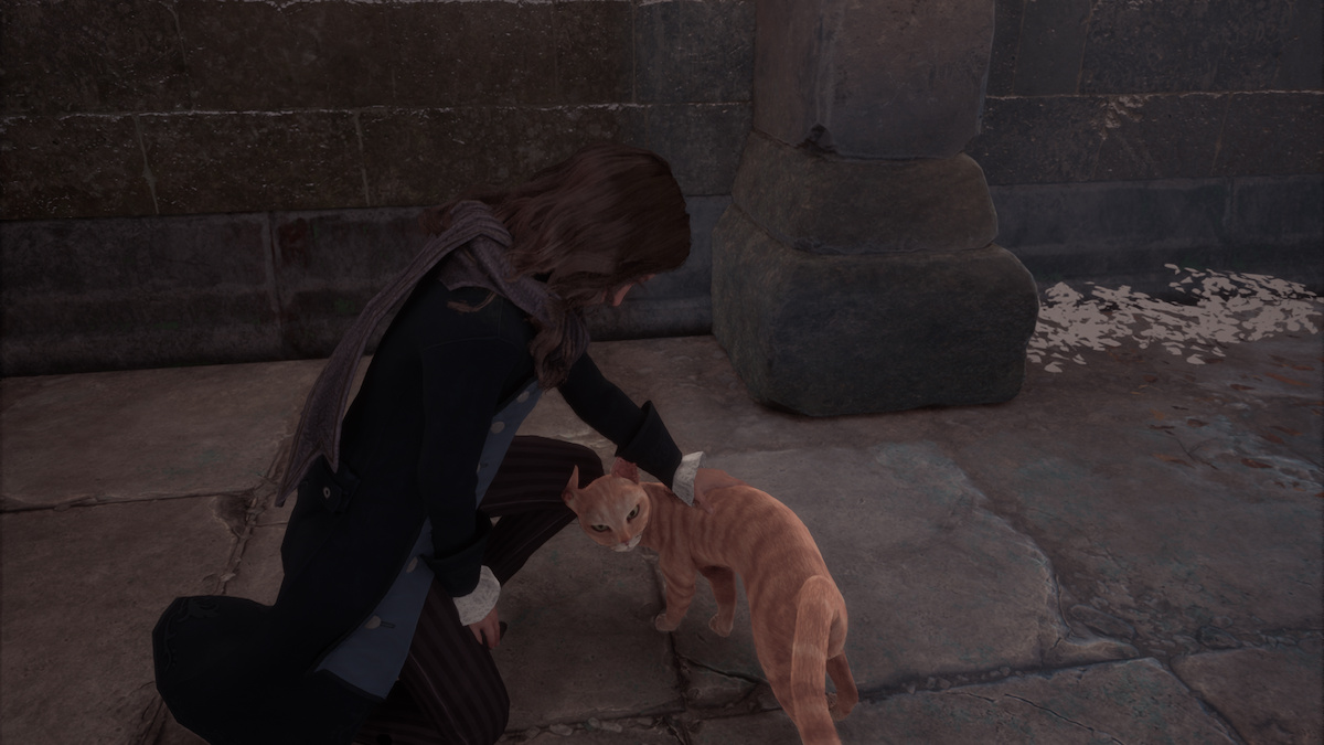 What Happens If You Use Depulso On Cats In Hogwarts Legacy featured