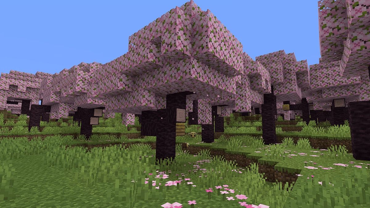 Minecraft Cherry Blossom Biome update 1.20 featured image