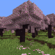 Minecraft Cherry Blossom Biome update 1.20 featured image