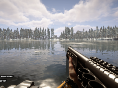 Sons Of The Forest Ammo Type Shotgun