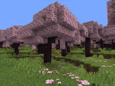 Cherry Blossom Biome