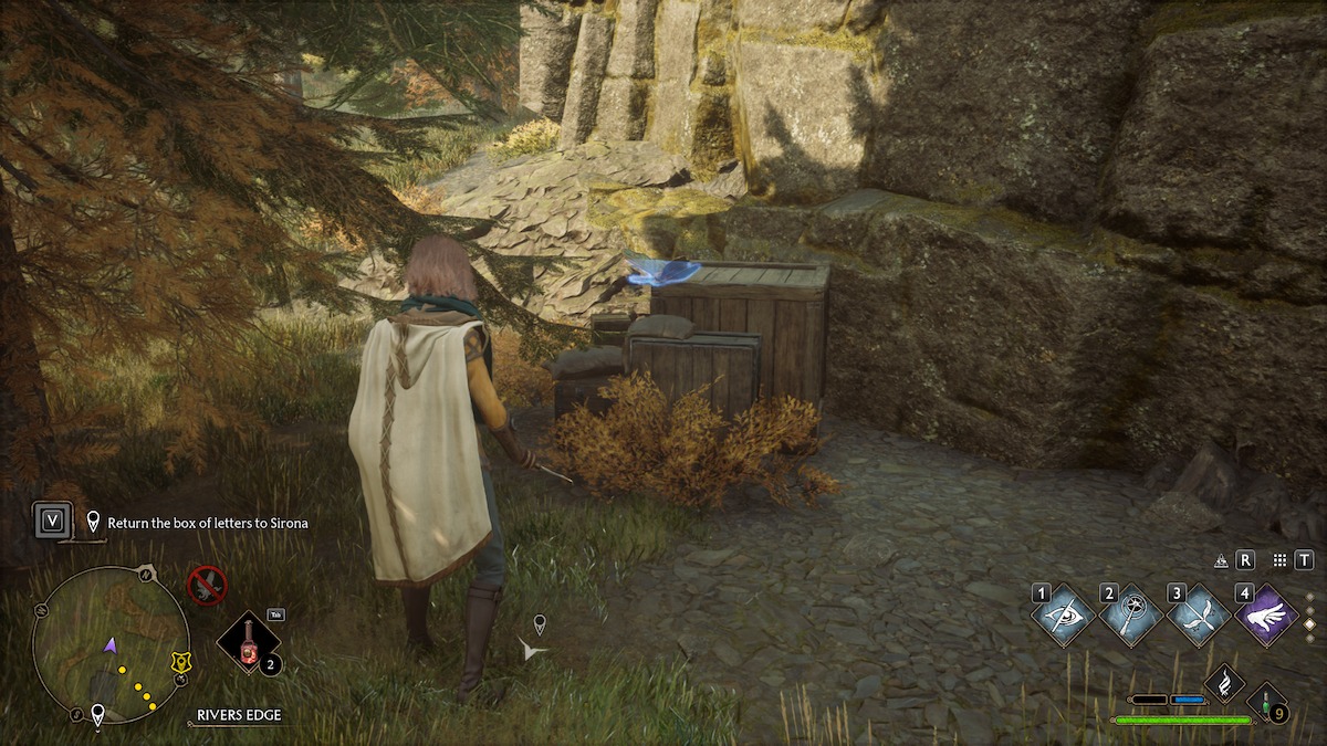 All Moth Mirror Puzzle Locations Hogwarts Legacy Old Fool Moth