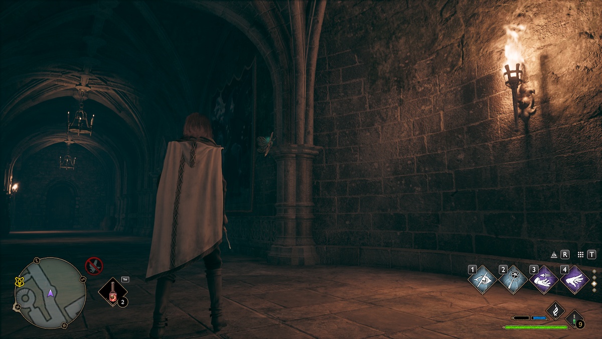 All Moth Mirror Puzzle Locations Hogwarts Legacy Slytherin Dungeon Moth