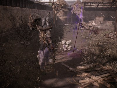 Wo Long Fallen Dynasty Vengeance Flag Closeup