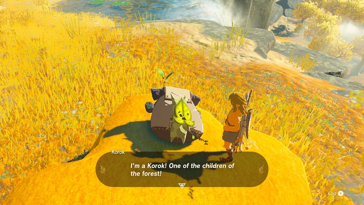 Are Koroks In Tears Of The Kingdom Answered
