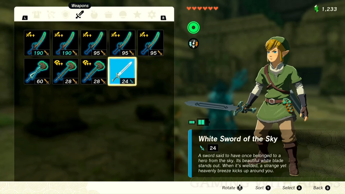 Link Holding White Sword Of The Sky Zelda Tears Of The Kingdom (totk)